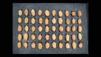 Peanuts project thumbnail