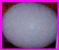 ITLOG (SINGLE LABEL) project thumbnail