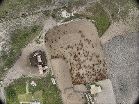 cow-santa-catalina-80-90 project thumbnail
