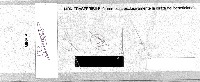 signAssegni project thumbnail