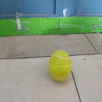 Tennis Ball Obj Det project thumbnail