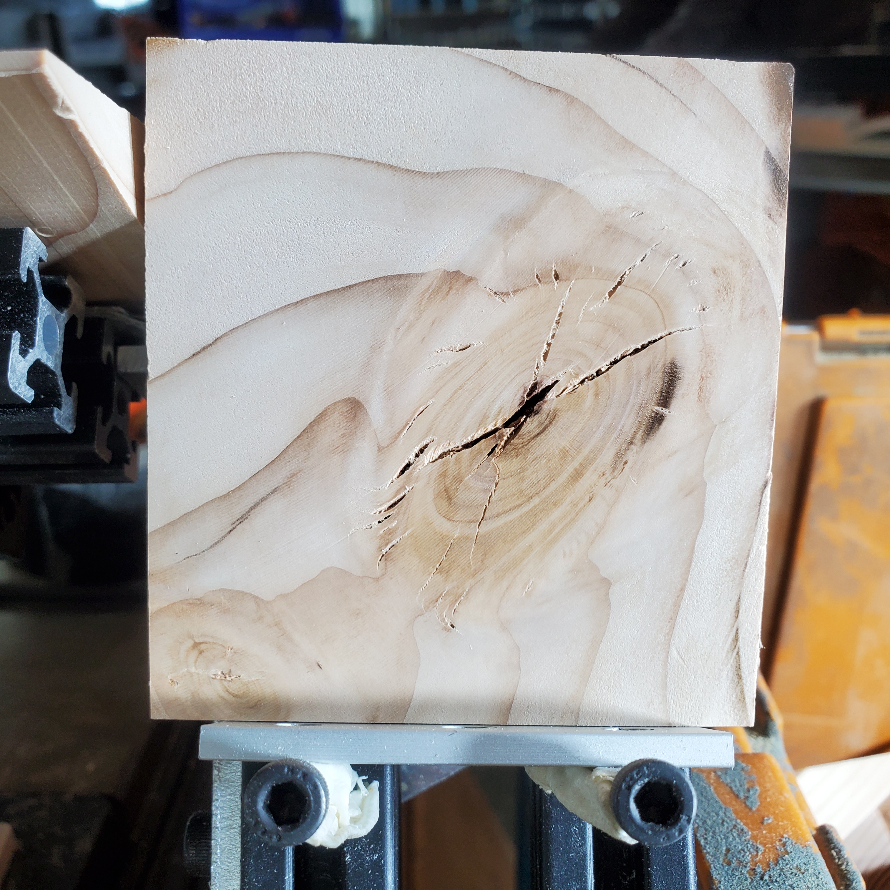 Wood Imperfections Instance Segmentation Model by Everwood