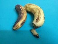 Rotten Fruit Detector ver 2 project thumbnail