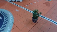 Eurobot2024_onboardcam_highpose project thumbnail