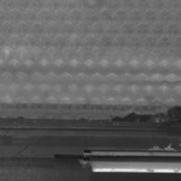 Beebehaviour project thumbnail