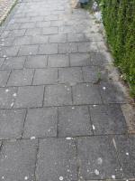 Dutch sidewalk detection project thumbnail