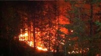 fire_detect project thumbnail