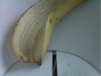 trash_detector_v5_(reutilizable) project thumbnail