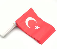Turkish Flag Object Detection Model by hymese