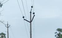 Insulator voltage project thumbnail
