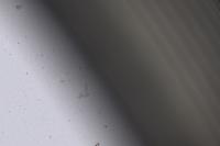 黑白纤维颗粒分类 project thumbnail