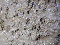 Soil moisture project thumbnail
