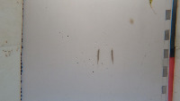 SIC SIC SIC SIC SIC  project thumbnail