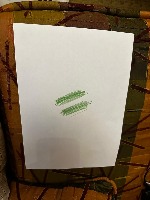 test_1 project thumbnail