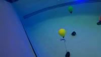 Pool_070325 project thumbnail