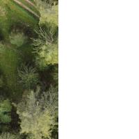 tree-c25 project thumbnail