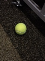 tennis ball project thumbnail