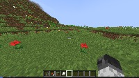 Minecraft red flowers project thumbnail