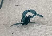 Suture Knot Detection project thumbnail