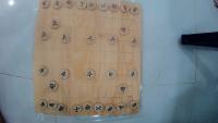 Xiangqi-Scara-YOLO26 project thumbnail