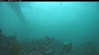 Marine project thumbnail