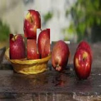 Apple detection Object Detection Dataset by apples