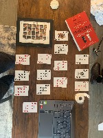 Dataset Image