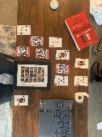 Dataset Image