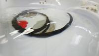 11 project thumbnail