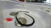 bubble_test project thumbnail