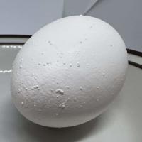 Egg quality grading project thumbnail