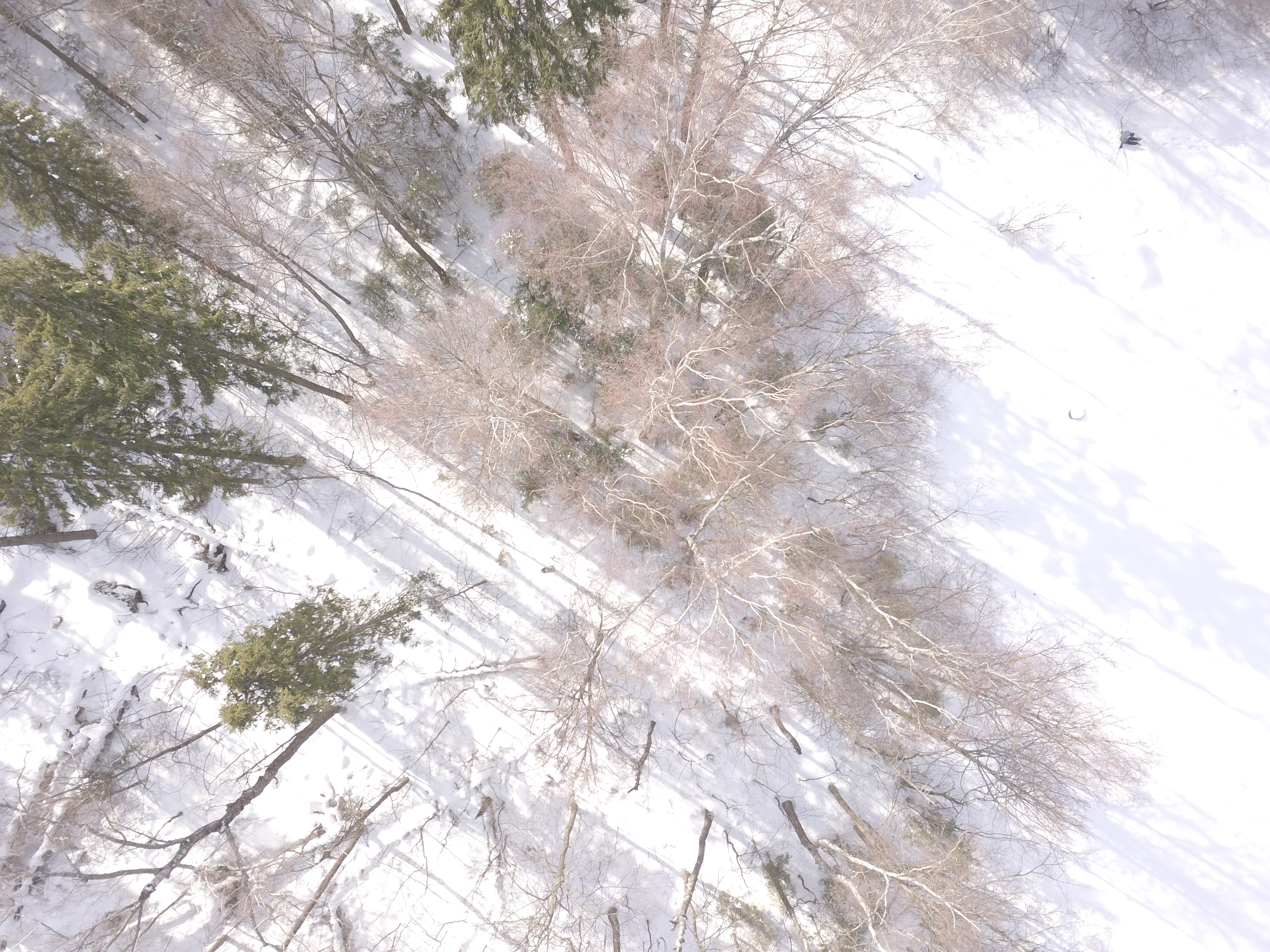 rescue-dataset-1(混過） Object Detection Dataset by Rescue dataset
