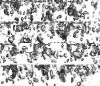 0s_240_4_1-12 project thumbnail