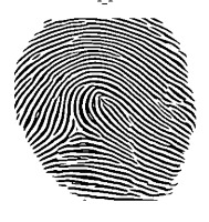 One Image dataset project thumbnail