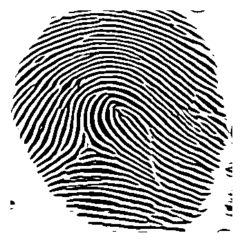 Fingerprint Minutiae Detection Object Detection Dataset by University