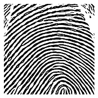 FingerPrint v1.0 project thumbnail