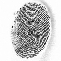 FingerPrint Minutae Test 1 project thumbnail