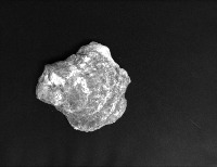 Oysters project thumbnail