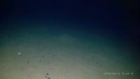 c project thumbnail