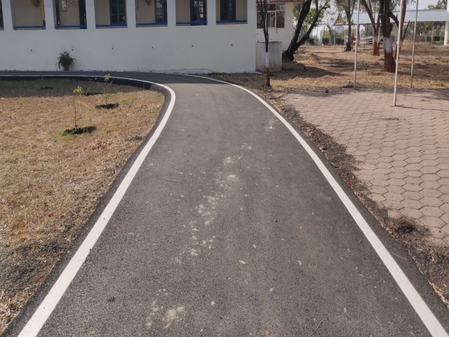 road Instance Segmentation Model by IA