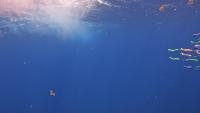 06-17-24_cam_r_gx040138_mahi_lon project thumbnail