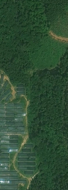 panel Object Detection Dataset by panel