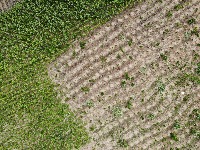 AgriDroneInsightDetection project thumbnail