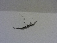 wall defect project thumbnail