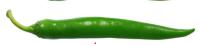 chili detection project thumbnail