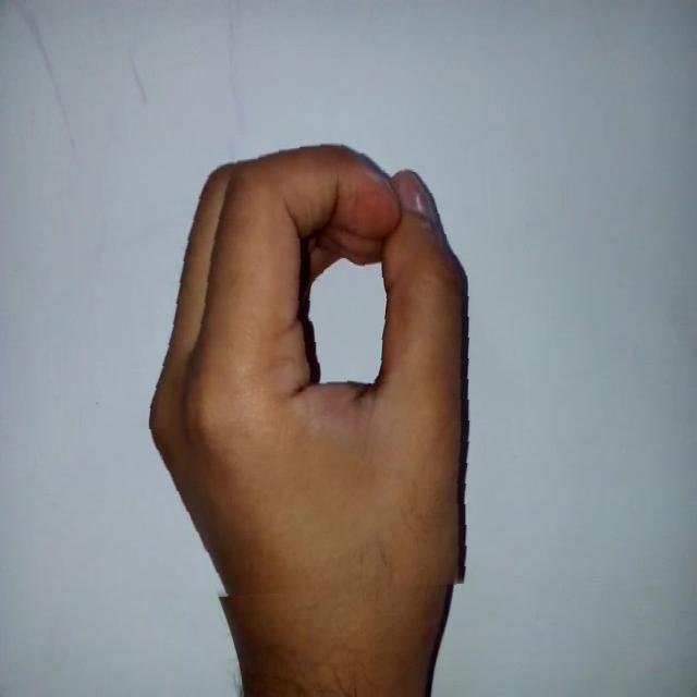 Hand gestures Object Detection Dataset by UDG