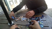 Dataset Image