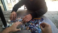 Dataset Image