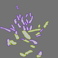 Annotation Visualization