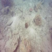 giantclam project thumbnail